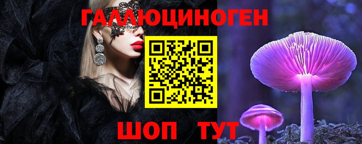 Ивантеевка  продажа наркотиков  Вход с VPN  Псилоцибиновые грибы Psilocybine cubensis  Галлюциногенные грибы ЛСД 