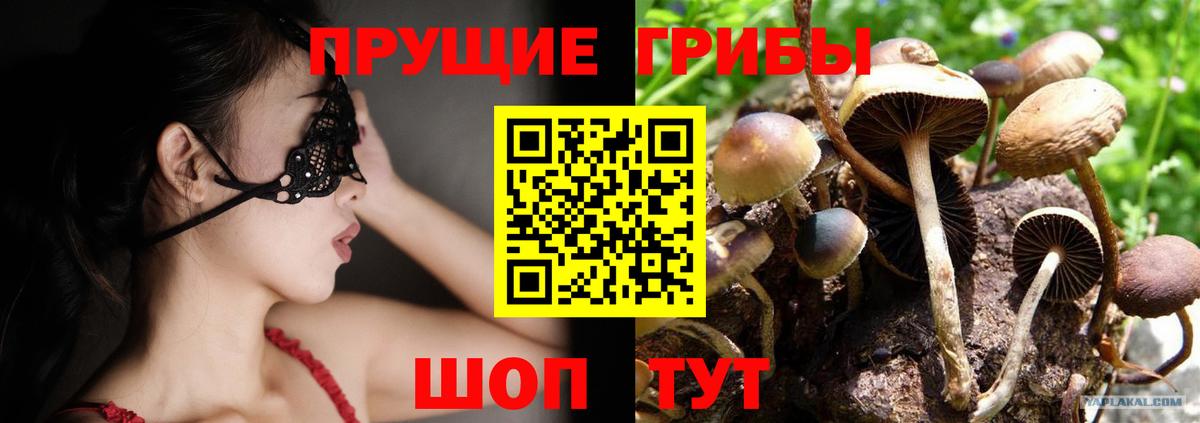 Галлюциногенные грибы ЛСД Ивантеевка